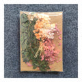 Dry Flower Packet - PCK-3