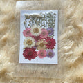 Pressed Flower (A)