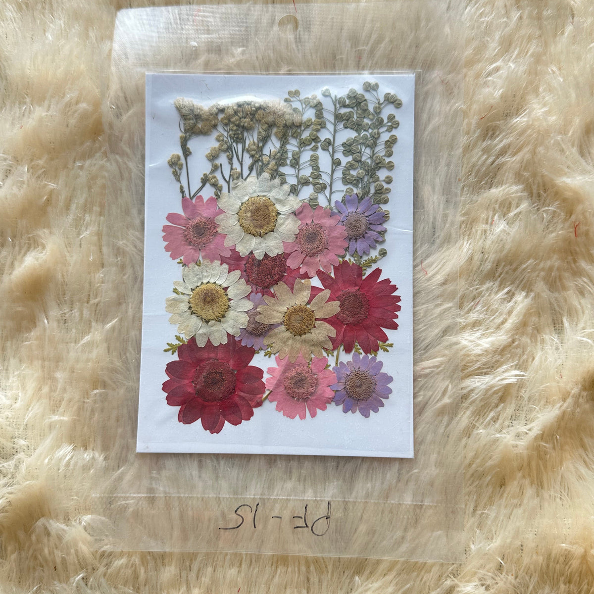 Pressed Flower (A)