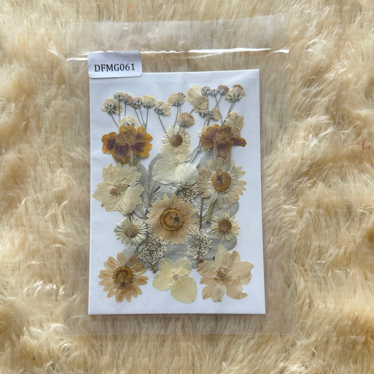 Pressed Flower (B)