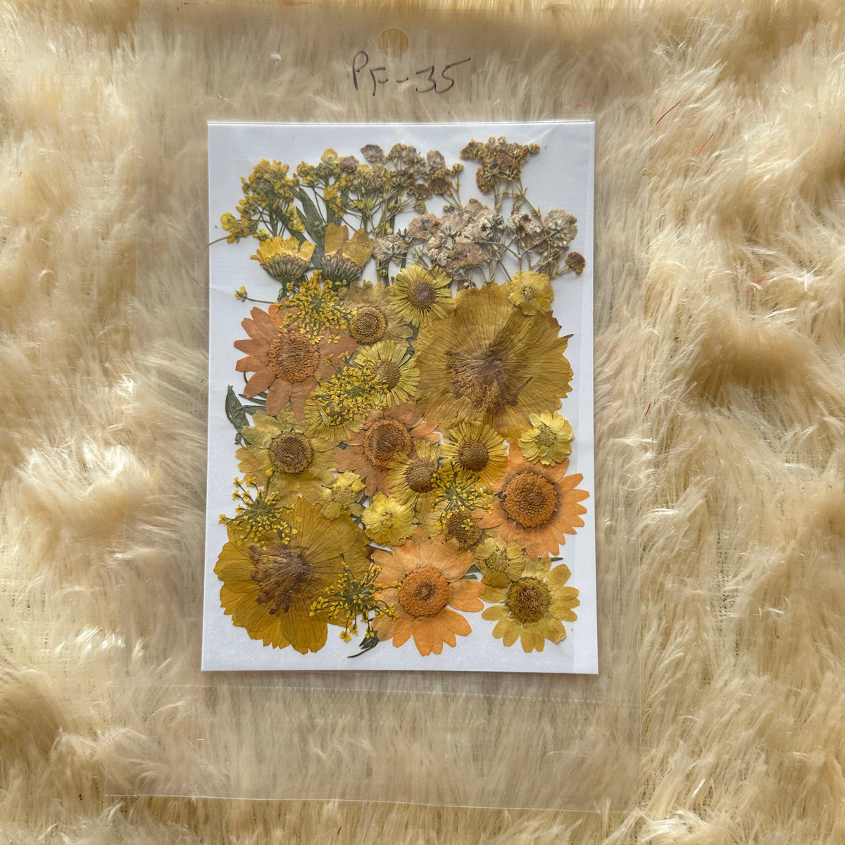 Pressed Flower (C)
