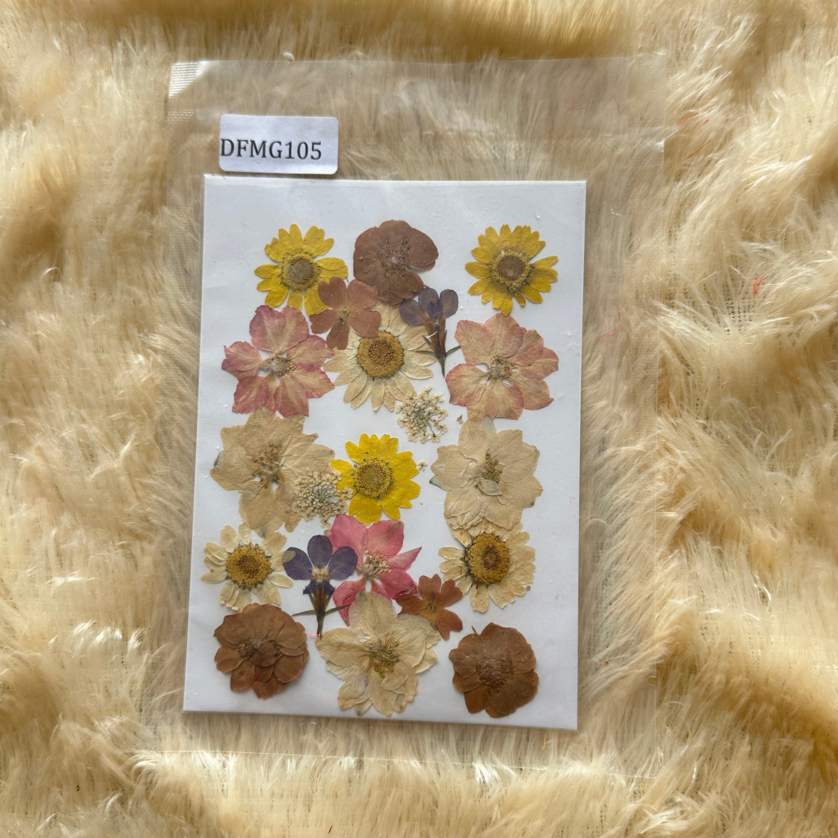 Pressed Flower (D)
