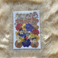 Pressed Flower (E)