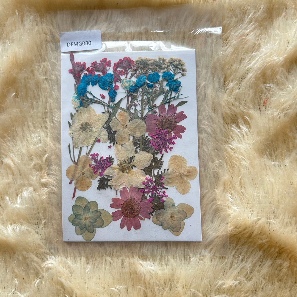 Pressed Flower (F)