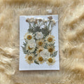 Pressed Flower (H)
