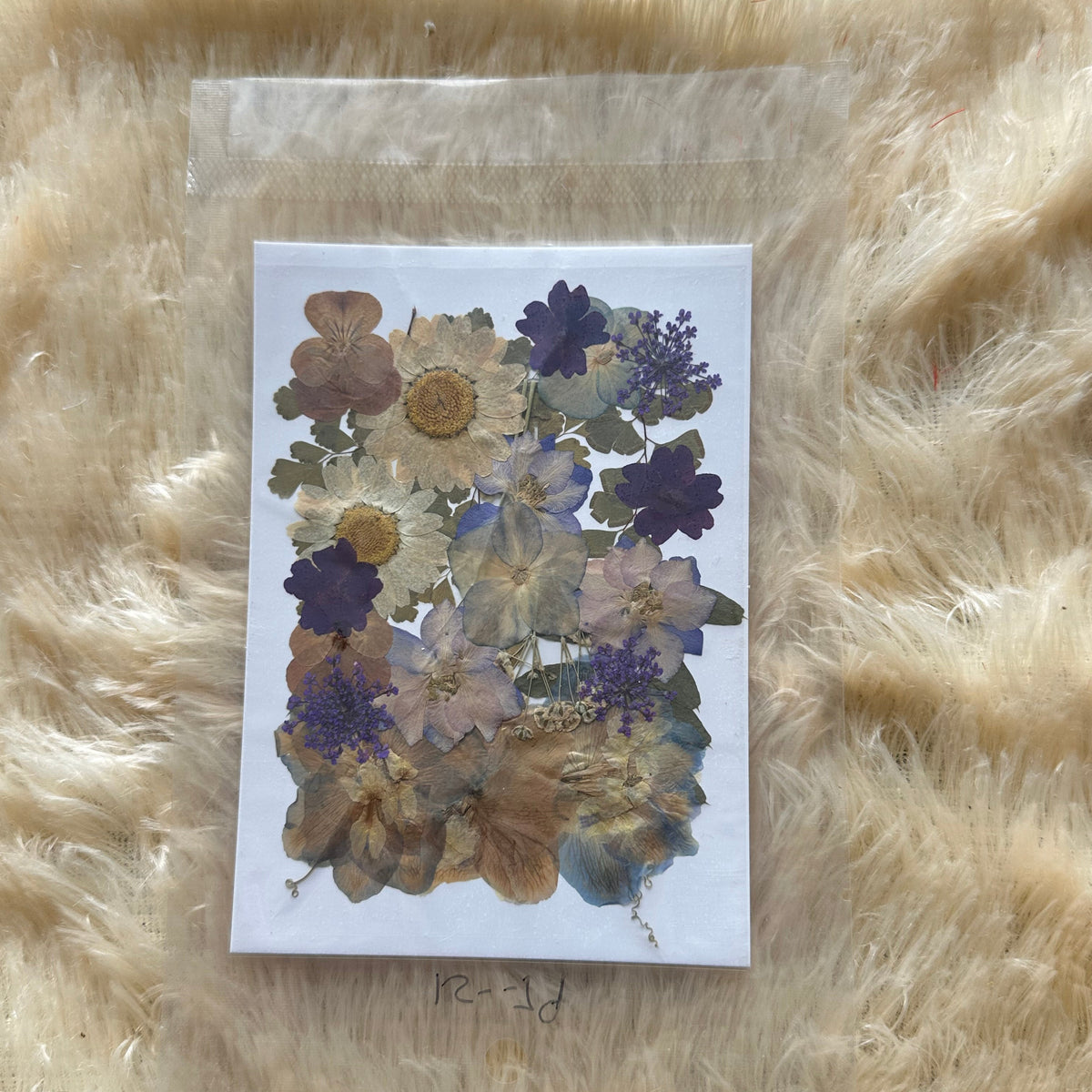 Pressed Flower (I)